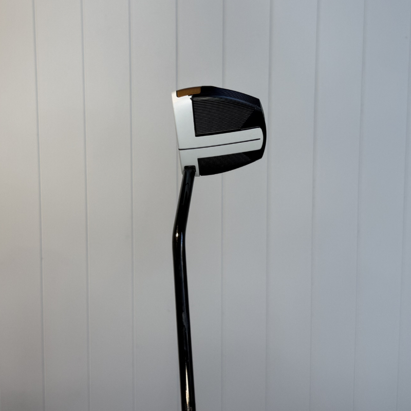Used TaylorMade Spider FCG BLACK/WHITE 33" putter — view 3